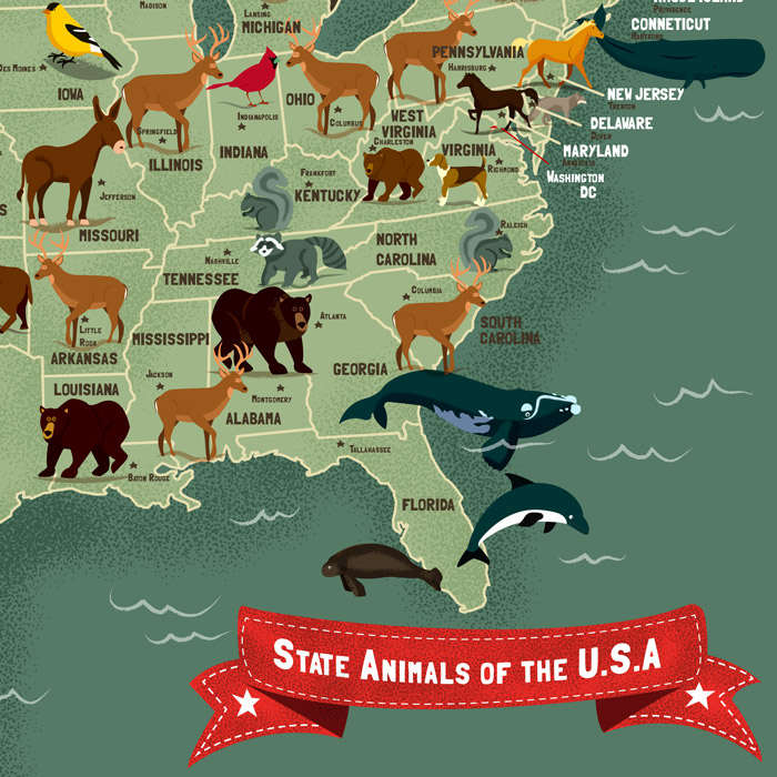 State Animals Of The USA Map | Jennifer Farley Illustration & Design