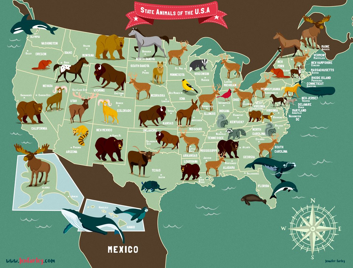 USA MAP ANIMALS DARK BY JENNIFER FARLEY
