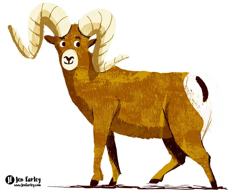 Big Horn Sheep State Animals USA illustrated by Jennifer Farley