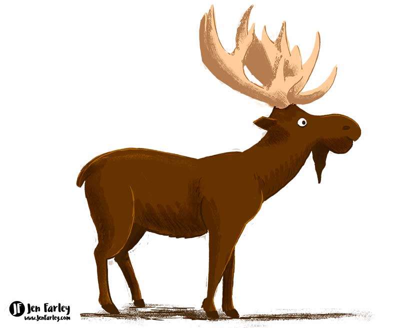 Moose State Animals USA illustrated by Jennifer Farley