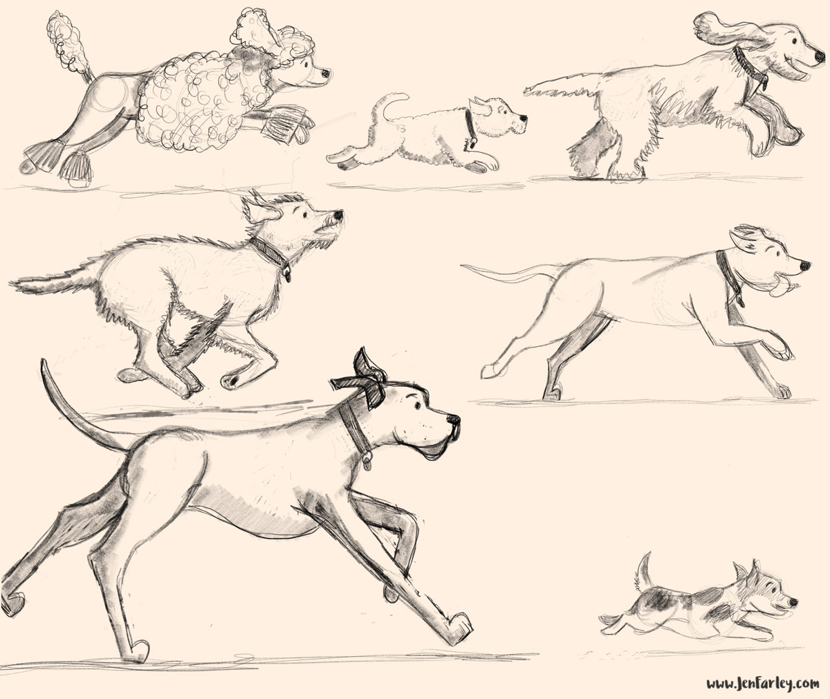 Dogs running sketchbook - Take The Lead illustrated by Jennifer Farley