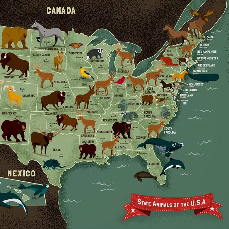 Jennifer Farley Illustration, Maps. Design | Jennifer Farley Mapmaker ...