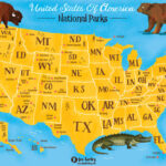 MAP OF USA National Parks Illustrated by Jennifer Farley Featured