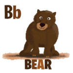B is for Bear Animals Jennifer Farley