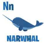 N is for Narwhal Animals ABC Jennifer Farley