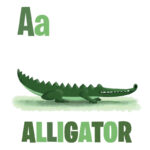A is for Aligator Jennifer Farley