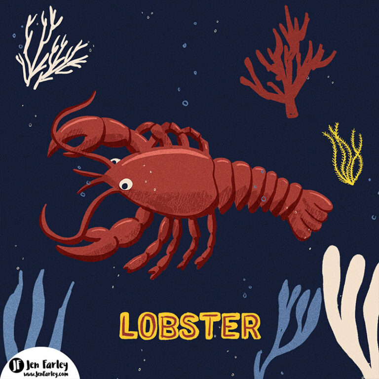 Lobster illustrated by Jennifer Farley