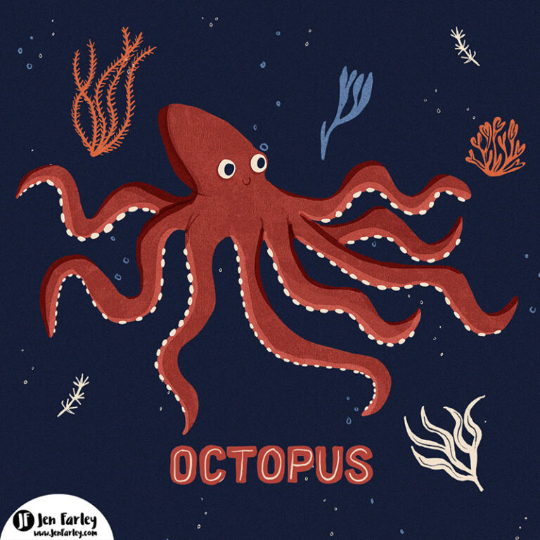 Octopus Illustration by Jennifer Farley