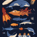 20000 Leagues Under The Sea Illustrated by Jennifer Farley