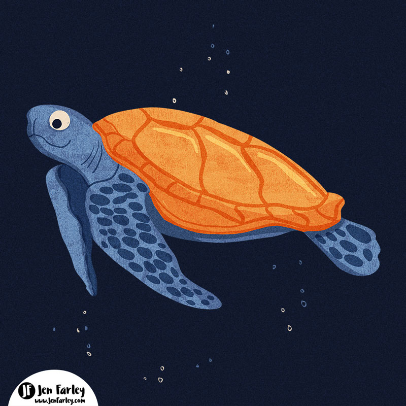 Sea Turtle illustrated by Jennifer Farley 800