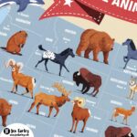 State Animals USA Map Jennifer Farley Closeup