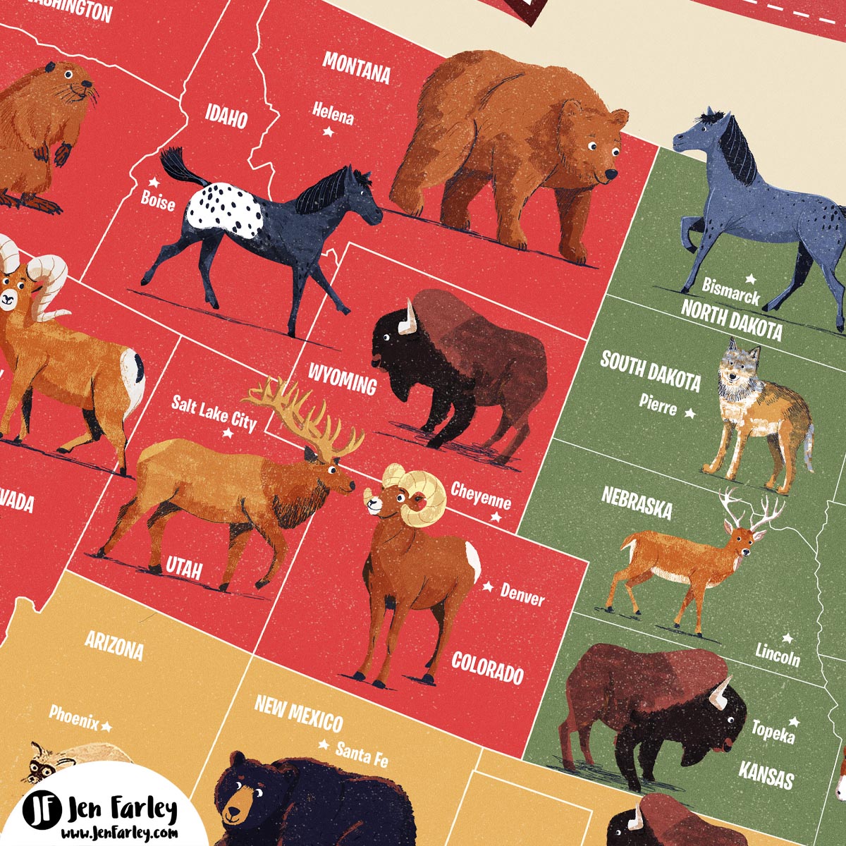 The United States Animals The United States Animals