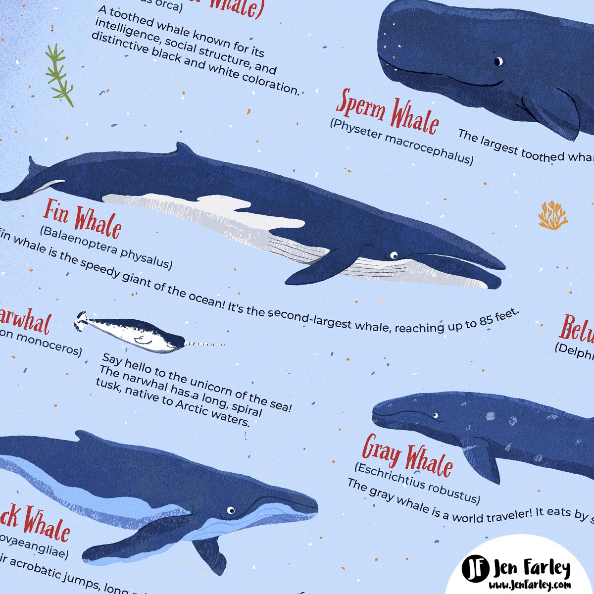 Whale Art Print Jennifer Farley Closeup