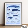 Whale Art Print Jennifer Farley Framed
