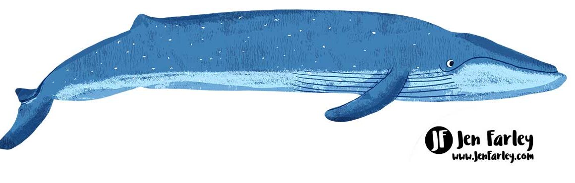 Blue Whale Illustrated by Jennifer Farley