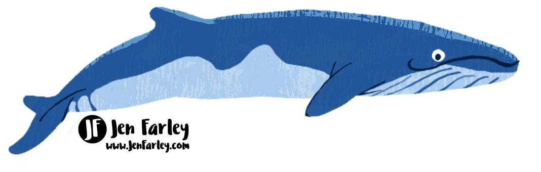 Minke Whale Illustrated by Jennifer Farley
