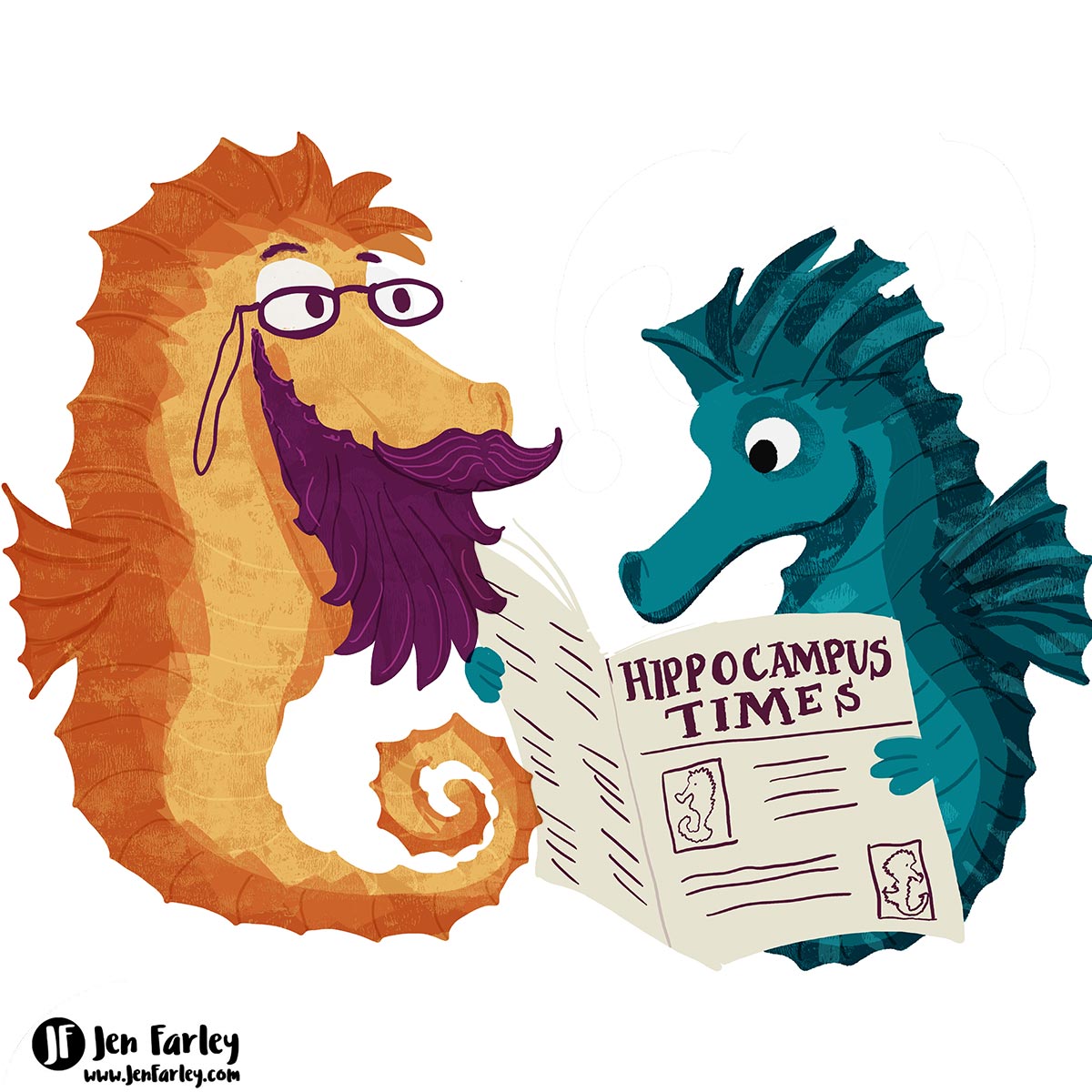 International Literature Festival Dublin Illustrated Seahorses 4 Jennifer Farley