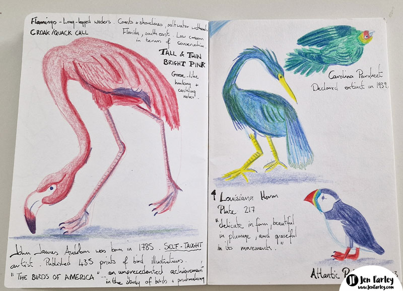 Sketchbook Audobon Natural History Museum London