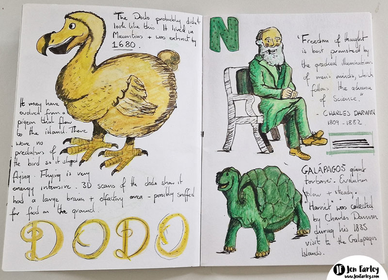 Sketchbook Dodo Darwin Natural History Museum London